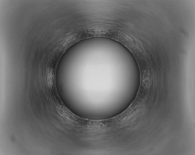 X0000111190866200907011410