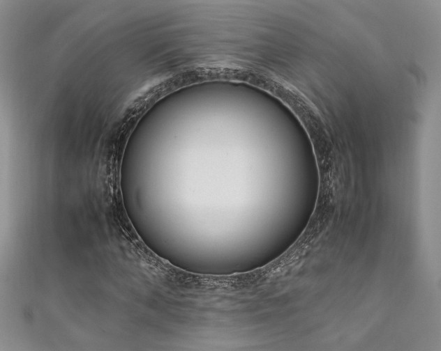 X0000111190870200907011410