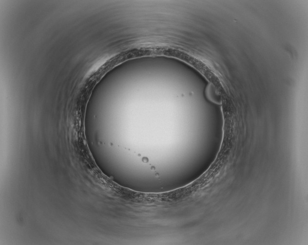 X0000111190871200907011410