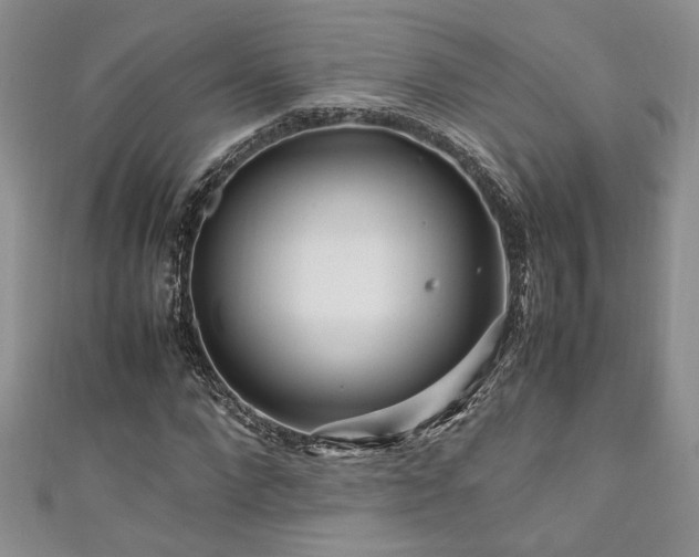 X0000111190872200907011410