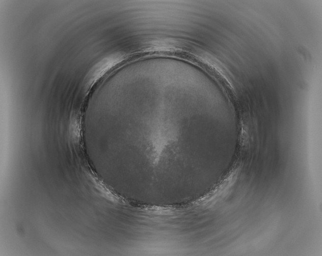 X0000111190874200907011410