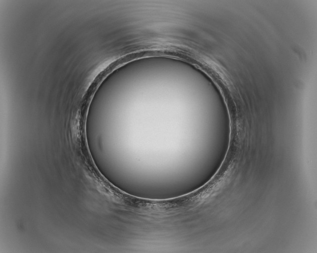 X0000111190875200907011410