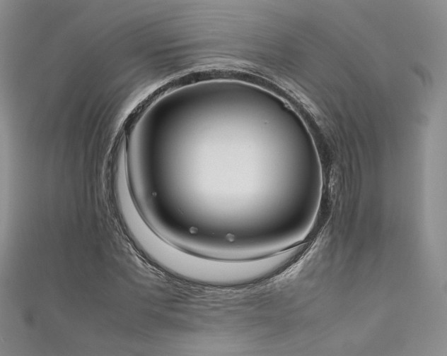 X0000111190877200907011410