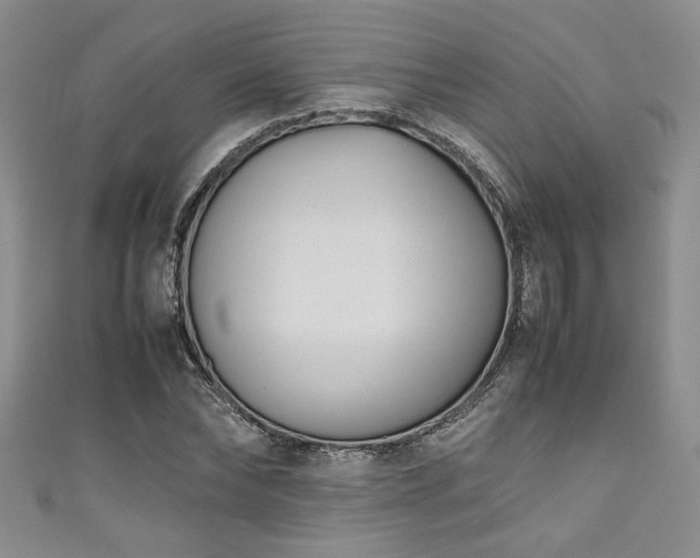 X0000111190878200907011410