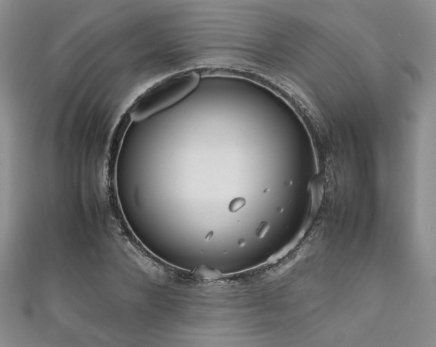 X0000111190880200907011410