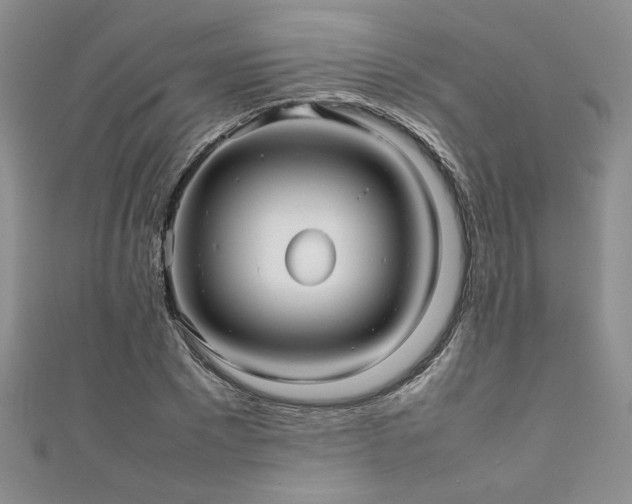 X0000111190881200907011410