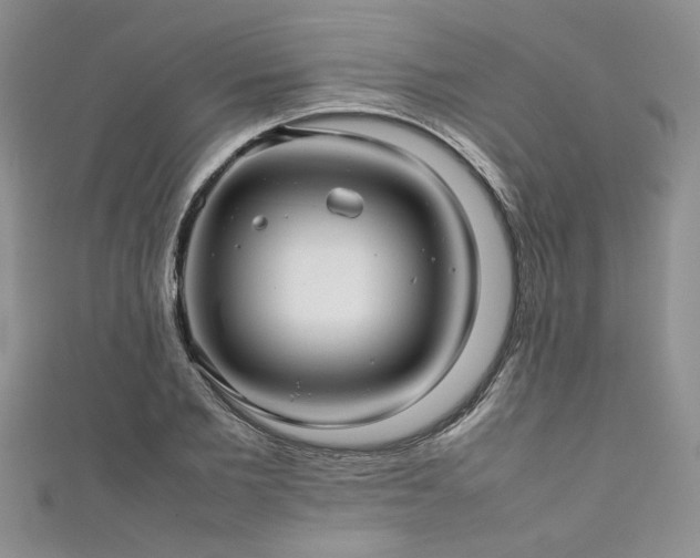 X0000111190885200907011410