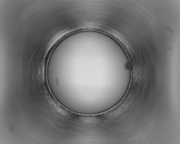 X0000111190886200907011410