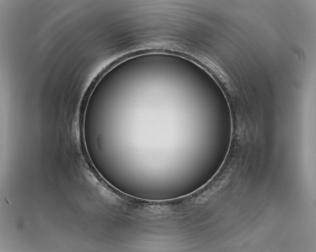 X0000111190888200907011409