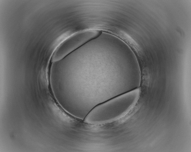 X0000111190892200907011409