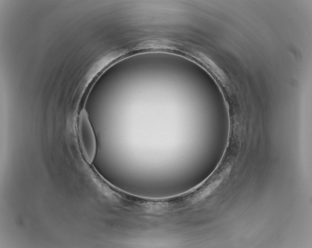 X0000111190893200907011409