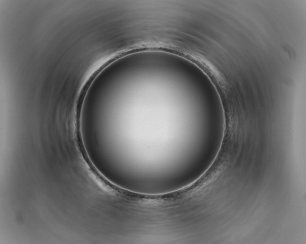 X0000111190894200907011409