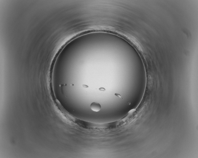 X0000111190895200907011409