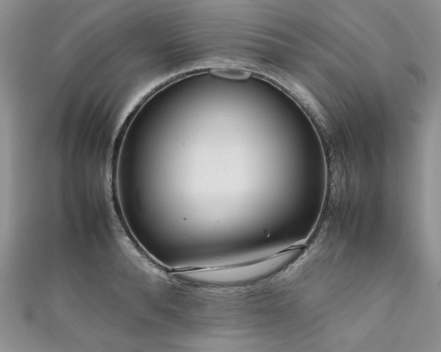 X0000111190896200907011409