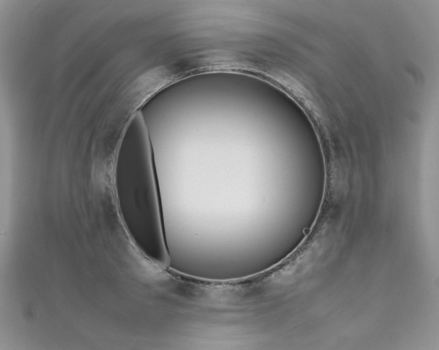 X0000111190897200907011409