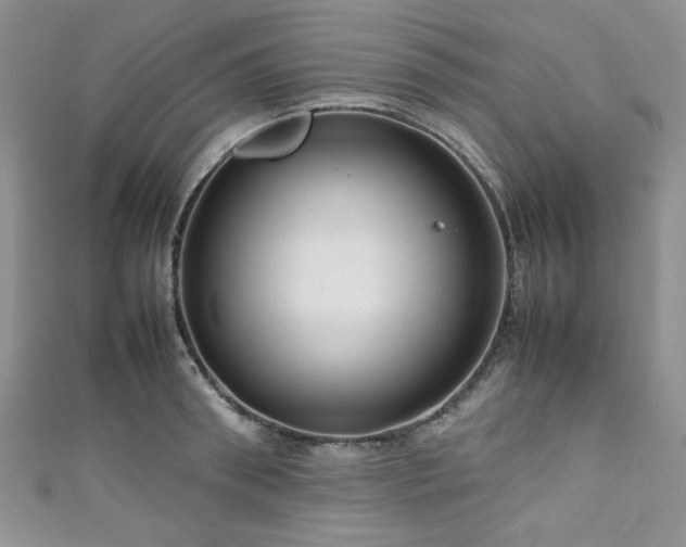 X0000111190898200907011409