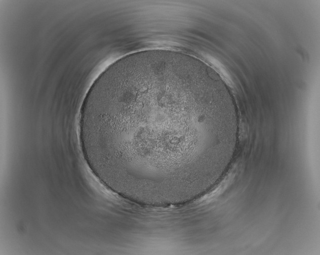 X0000111190899200907011409