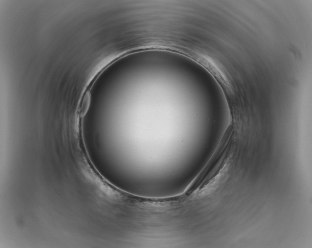 X0000111190900200907011409