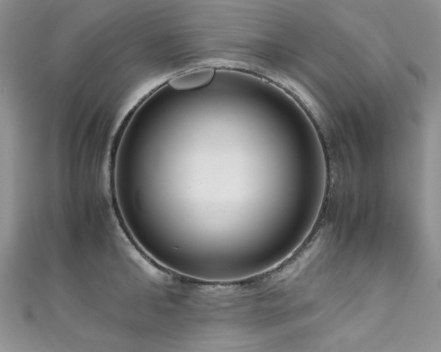 X0000111190902200907011409