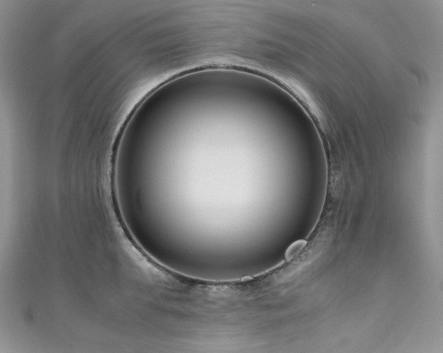 X0000111190903200907011409