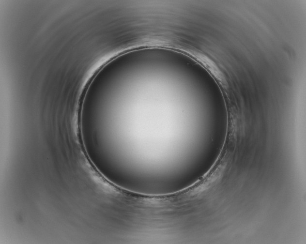 X0000111190904200907011409