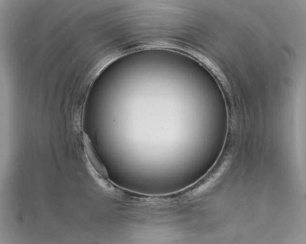 X0000111190905200907011409