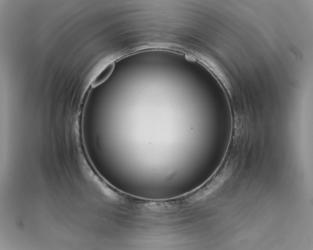 X0000111190906200907011409