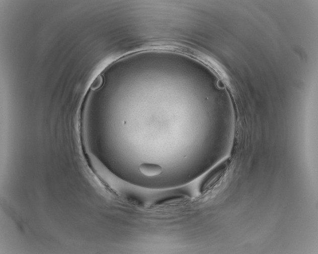 X0000111190907200907011409