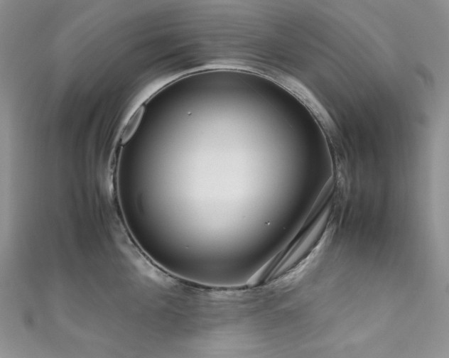 X0000111190908200907011409