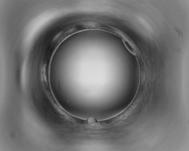 X0000111190911200907011409