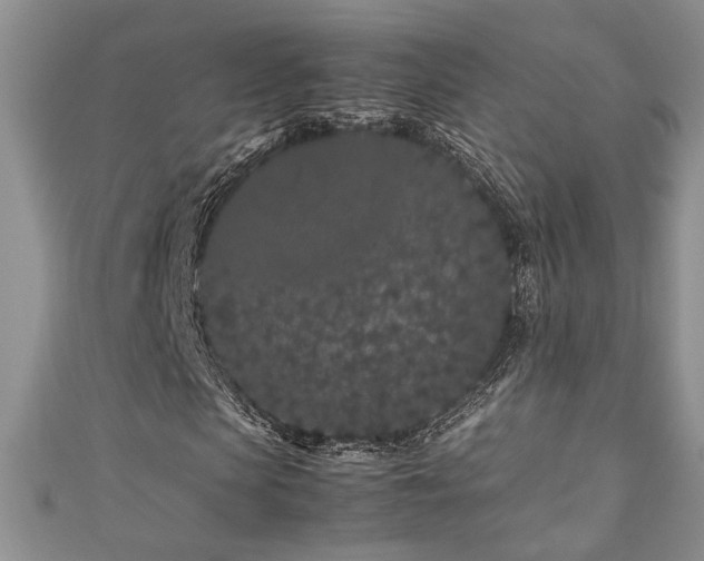 X0000111190913200907011409