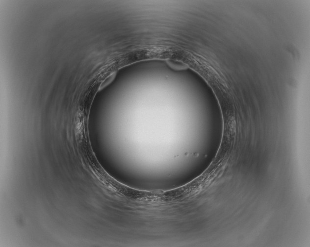 X0000111190914200907011409