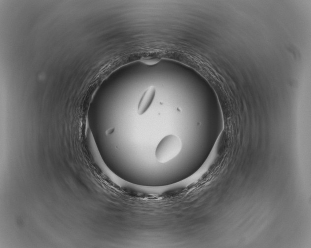 X0000111190916200907011409