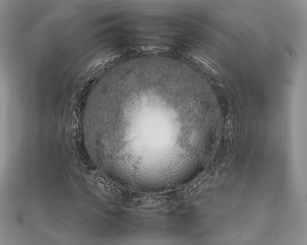 X0000111190917200907011409