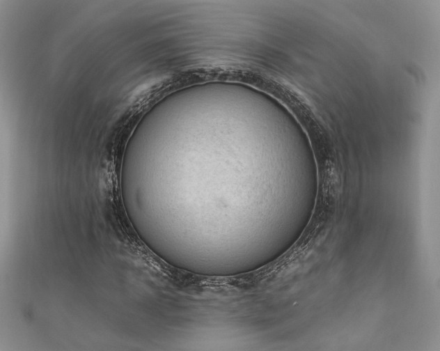 X0000111190918200907011409