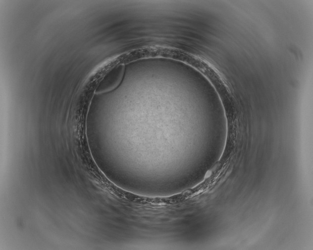 X0000111190919200907011409