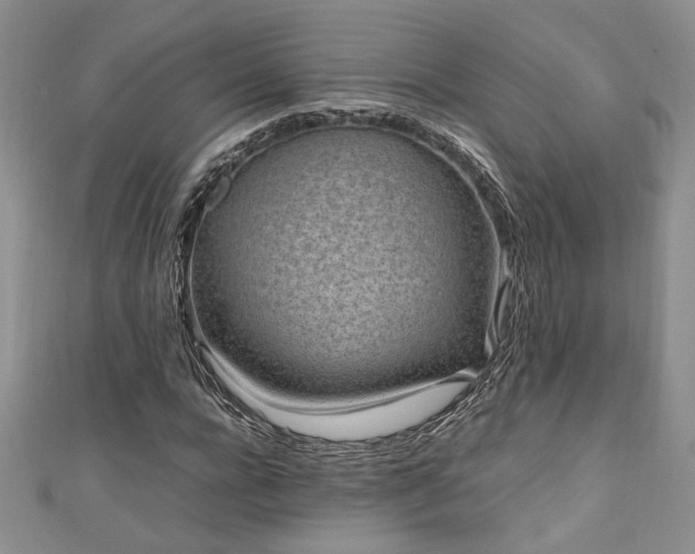 X0000111190920200907011409