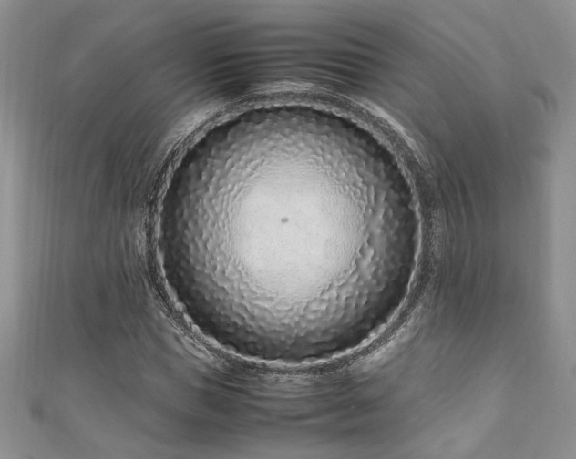 X0000111190921200907011409