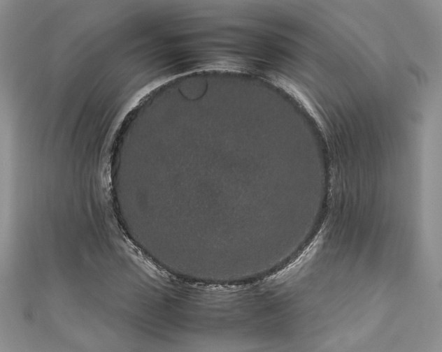 X0000111190923200907011409