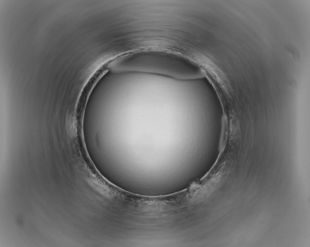 X0000111190924200907011409