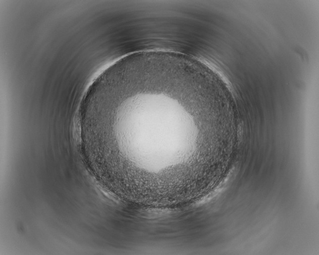 X0000111190925200907011409