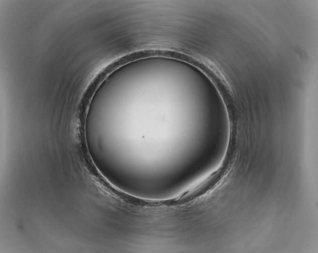 X0000111190926200907011409