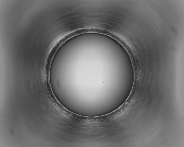 X0000111190927200907011409