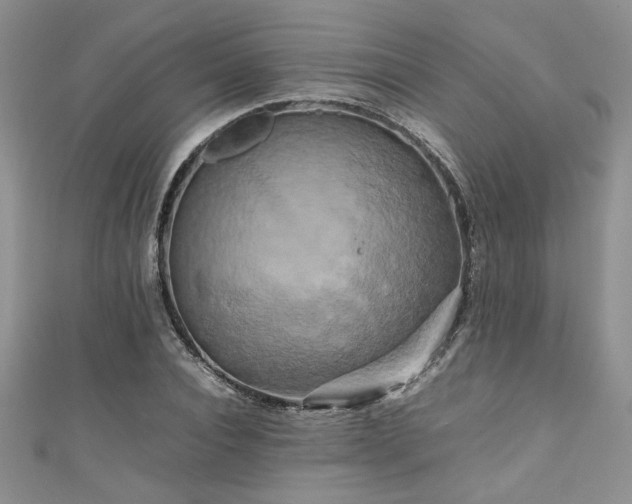 X0000111190928200907011409