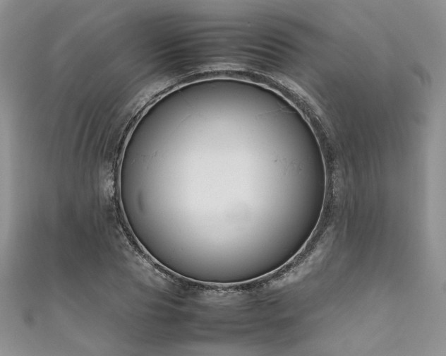 X0000111190929200907011409