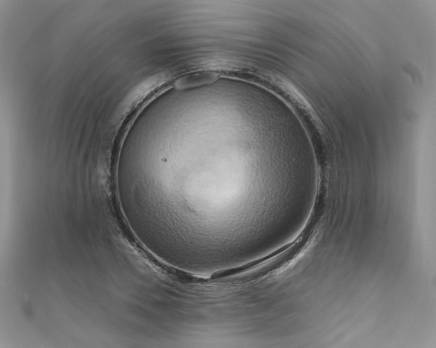 X0000111190930200907011409