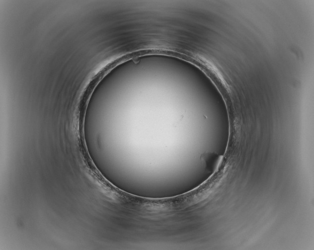 X0000111190931200907011409