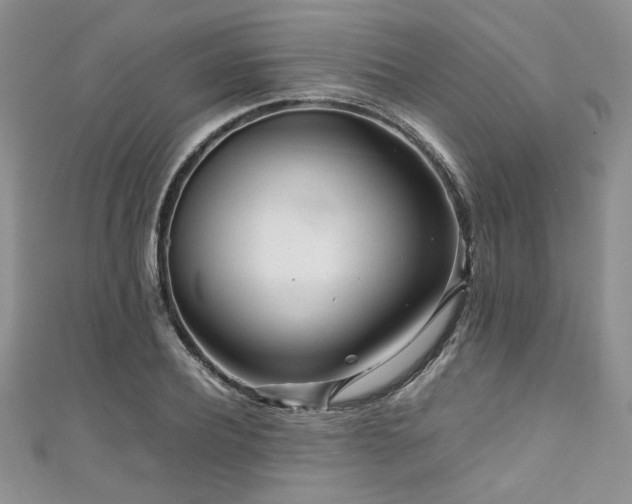 X0000111190932200907011409