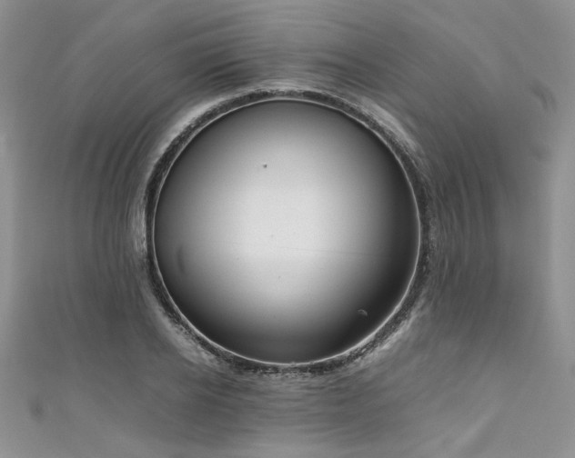 X0000111190934200907011409