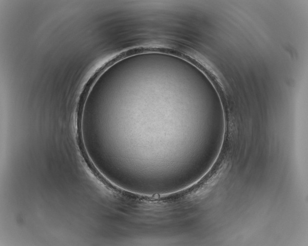 X0000111190935200907011409